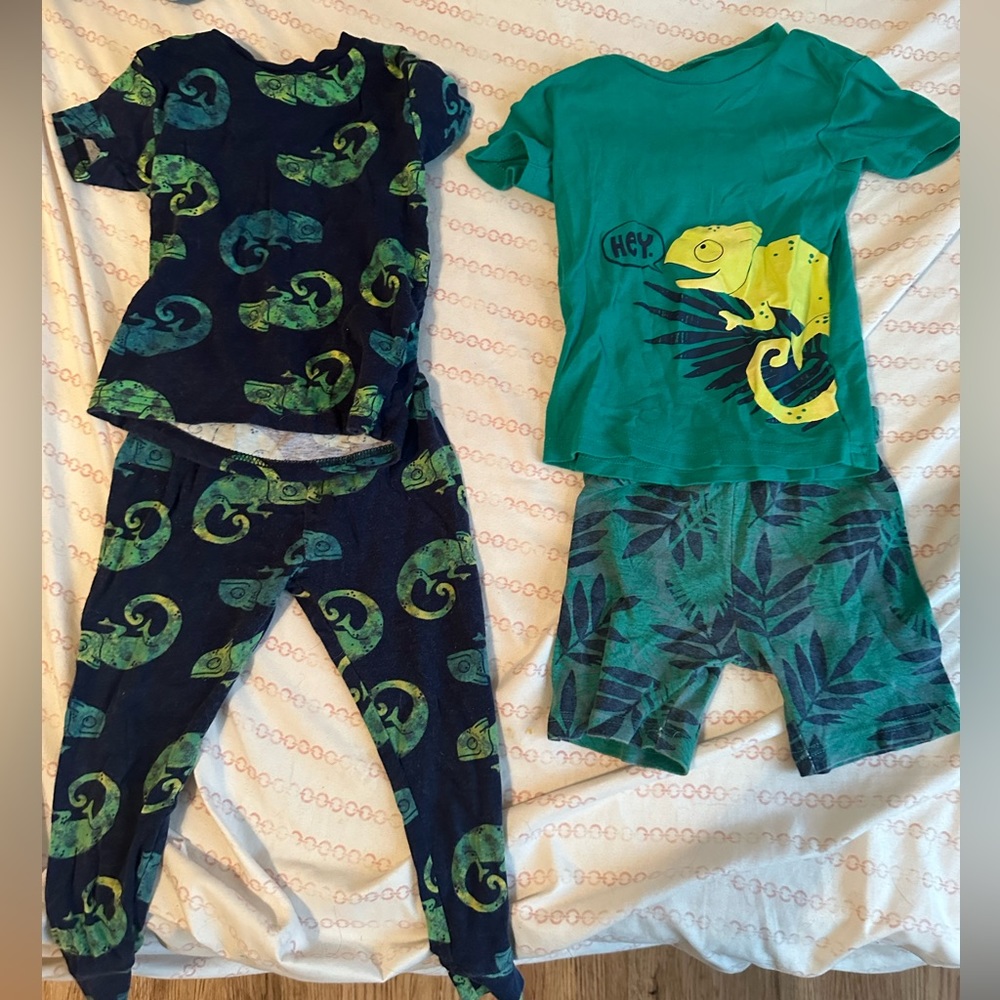 4 Piece Chameleon Pajamas 2T/3T Boys